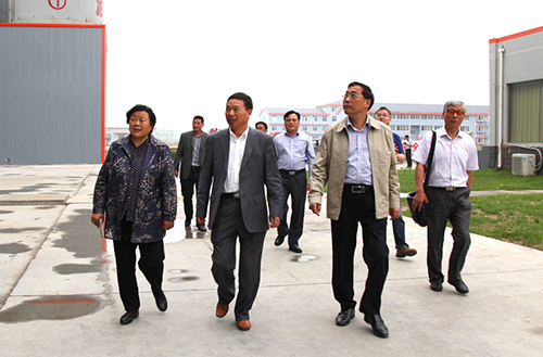 鵬飛集團研發(fā)的聯合半終粉磨系統實現高效節(jié)能降耗